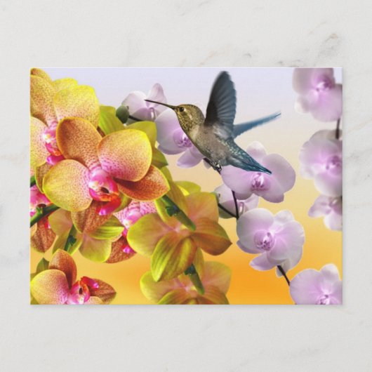 Hummingvogel, Lila Lilacs, Gelbe Rosa Orchideen Postkarte (Vorderseite)