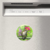 Hummingvogel Magnet (In Situ (Geschirrspüler))