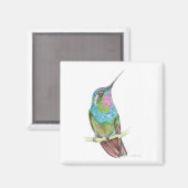 Hummingvogel Magnet (Vorderseite/Rückseite)