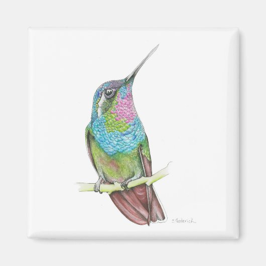 Hummingvogel Magnet (Vorne)