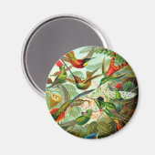 Hummingvögel Magnet (Vorderseite/Rückseite)