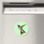Hummingvogel Magnet (In Situ (Geschirrspüler))