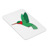 Hummingvogel Magnet (Rechte Seite)
