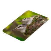 Hummingvögel Magnet (Linke Seite)