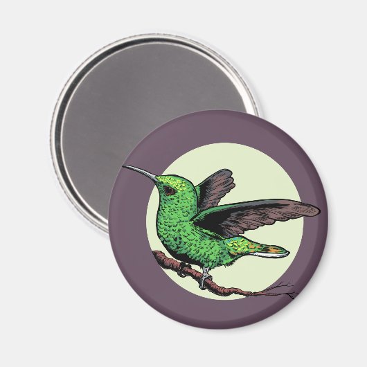 Hummingvogel Magnet (Vorderseite/Rückseite)