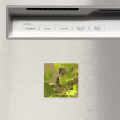 Hummingvogel Magnet (In Situ (Geschirrspüler))