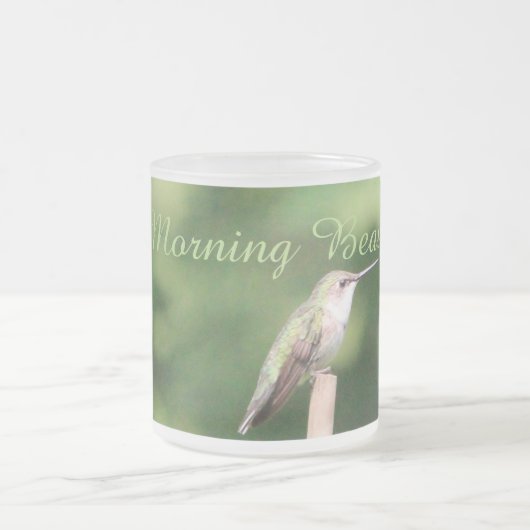 Hummingvogel Mattglastasse (Mittel)