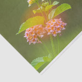 Hummingvogel mit Blume-Gewebe Seidenpapier (Ausschnitt)