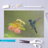 Hummingvogel mit Blume-Gewebe Seidenpapier (Handwerk)