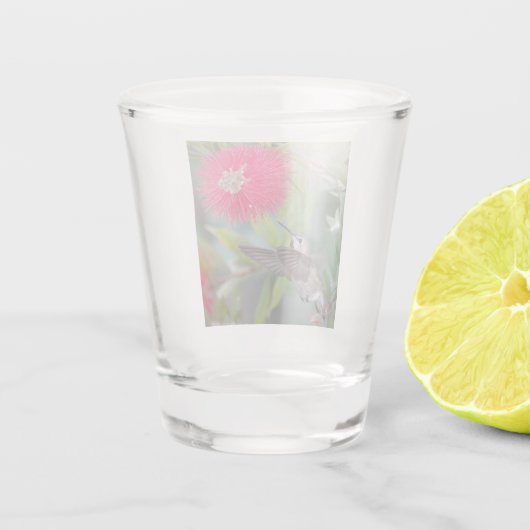 Hummingvogel mit Blumenbürste Schnapsglas (Rückseite)