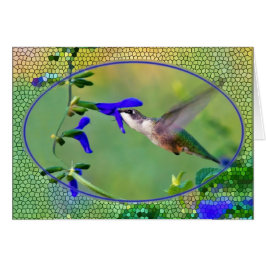Hummingvogel mit festem Glas
