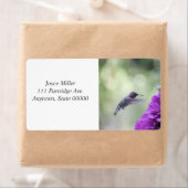 Hummingvogel mit lila Dahlien (Insitu)