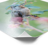Hummingvogel mit rosa Blume Fotodruck (Ecke)