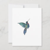 Hummingvogel Mitteilungskarte (Vorderseite)