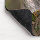 Hummingvögel Mousepad (Ecke)