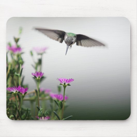 Hummingvogel Mousepad (Vorne)