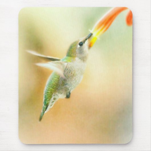 Hummingvogel Mousepad (Vorne)