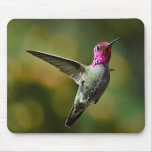 Hummingvogel Mousepad