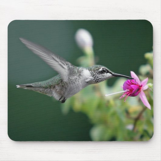 Hummingvogel Mousepad (Vorne)