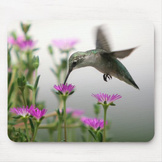 Hummingvogel Mousepad (Vorne)