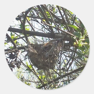 Hummingvogel-Nest in Lilac Shrub Square Sticker