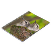 Hummingvögel Notizblock (Linke Seite)