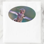 Hummingvogel Ovaler Aufkleber (Tasche)