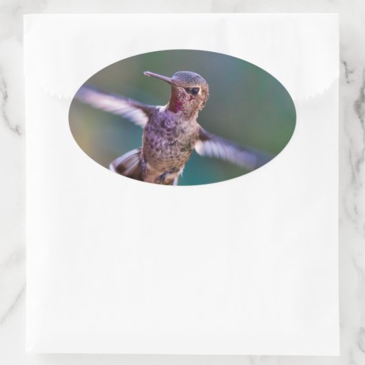 Hummingvogel Ovaler Aufkleber (Tasche)