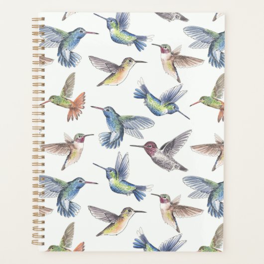 Hummingvögel Planer (Vorderseite)