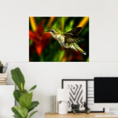Hummingvogel Poster (Heimbüro)