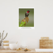 Hummingvogel Poster (Küche)