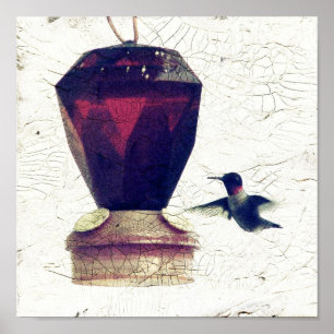 Hummingvogel Poster