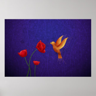 Hummingvogel Poster