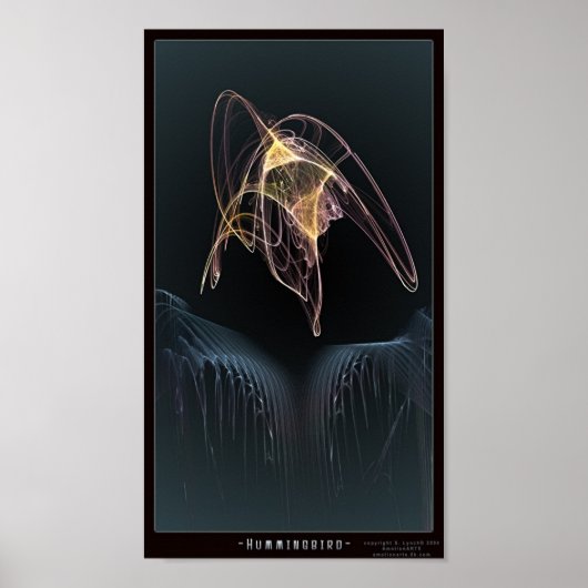 Hummingvogel Poster (Vorne)