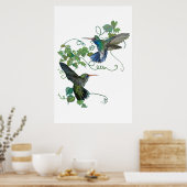Hummingvogel Poster (Küche)