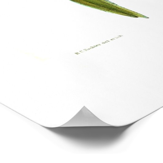 Hummingvogel Poster (Ecke)