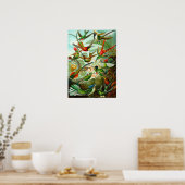 Hummingvögel Poster (Küche)