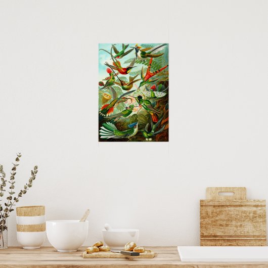 Hummingvögel Poster (Küche)