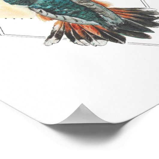 Hummingvogel Poster (Ecke)