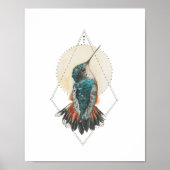 Hummingvogel Poster (Vorne)