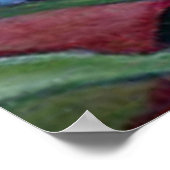 Hummingvogel Poster (Ecke)