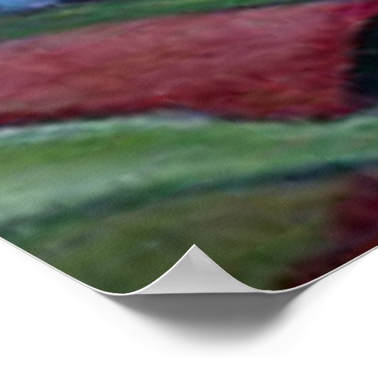 Hummingvogel Poster (Ecke)