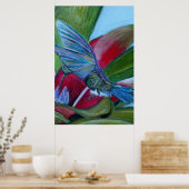 Hummingvogel Poster (Küche)