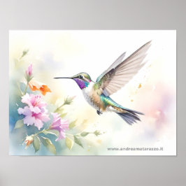 Hummingvogel Poster