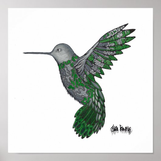 Hummingvogel Poster (Vorne)