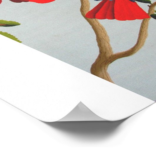 Hummingvogel Poster (Ecke)