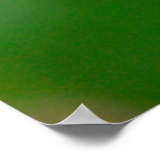 Hummingvögel Poster (Ecke)