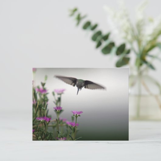 Hummingvogel Postkarte (Stehend Vorderseite)