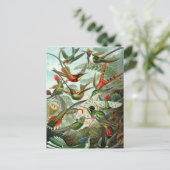 Hummingvögel Postkarte (Stehend Vorderseite)