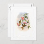 Hummingvogel Postkarte (Vorne/Hinten)